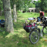 Tours - Dompierre-sur-Mer - Rochefort-en-Terre