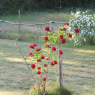 20-05-2011 (Nesmy - Arthon-en-Retz), 4ème jour