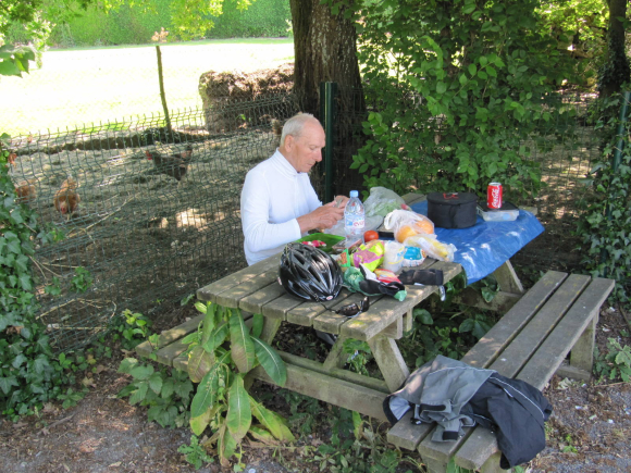 Déjeuner avec les poules