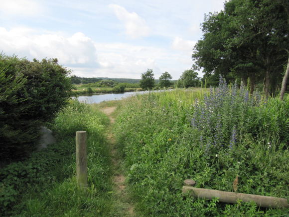 Les bords de la Vilaine