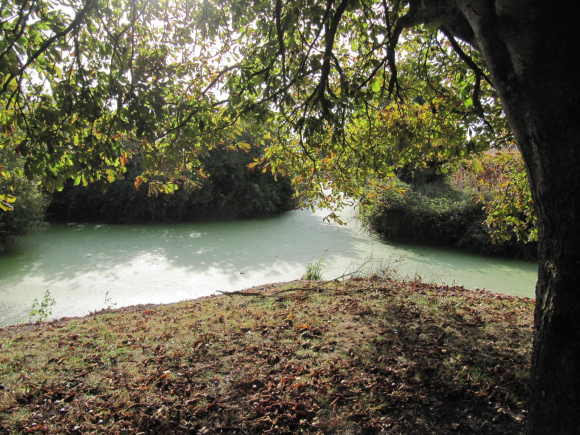 Aire de repos à La Ronde