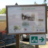 Tours - Dompierre-sur-Mer