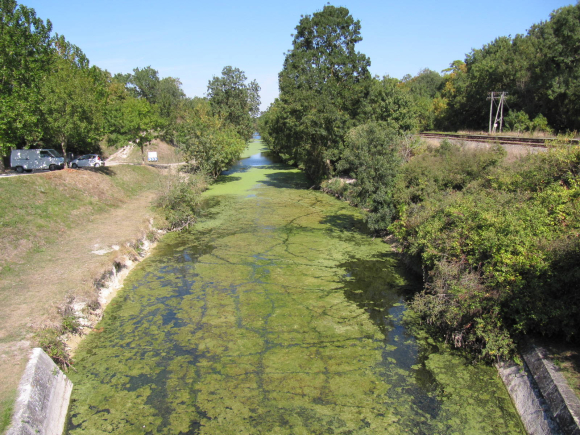 Canal de Marans à La Rochelle