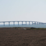 Pont de l'île de Ré