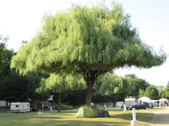 Un immense chapeau pour ma tente