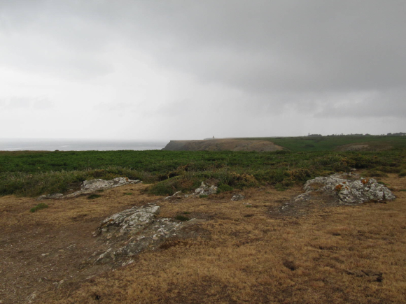 Arrivée de la pluie...