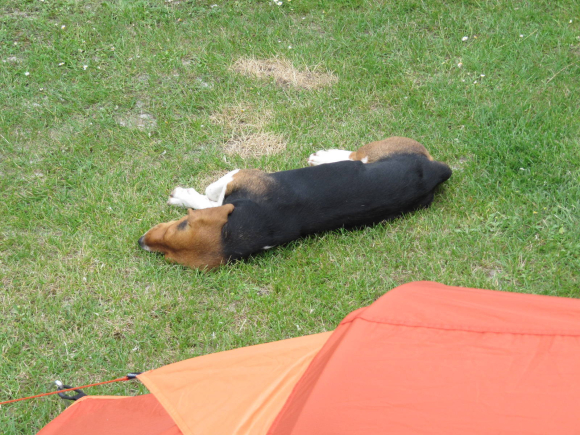 Un inconnu près de la tente