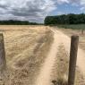 08-07-2025 (Mosnes - Blois), 2ème jour