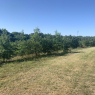 Vouvray - Beaugency A/R (GR3/GR655 Est à pied)