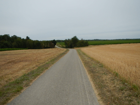DSCN4860
