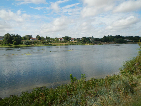 DSCN4880