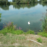 16-08-2019 (Chagny - Dole), 6ème jour