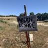 11-08-2022 (Vendôme - Cloyes-sur-le-Loir), 4ème jour