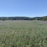 11-08-2022 (Vendôme - Cloyes-sur-le-Loir), 4ème jour