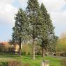 15-04-2010 (Tours - Chauvigny), 1er jour