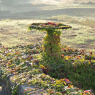 Tours - Bouchemaine (I)