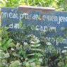 Tours - Bouchemaine (I)
