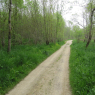 Tours - Bouchemaine (II)