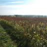 04-10-2014 (Tours - Bracieux), 1er jour