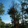 DSCN3076