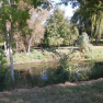 DSCN3095