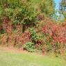 04-10-2014 (Tours - Bracieux), 1er jour