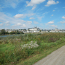 DSCN3106