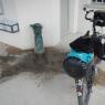 04-10-2014 (Tours - Bracieux), 1er jour