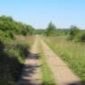 Week-ends