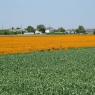 21-05-2010 (Tours - Bouchemaine), 1er jour