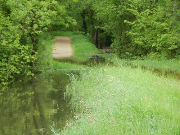 Itinéraire Loire à vélo innondé