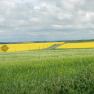 DSCN0812