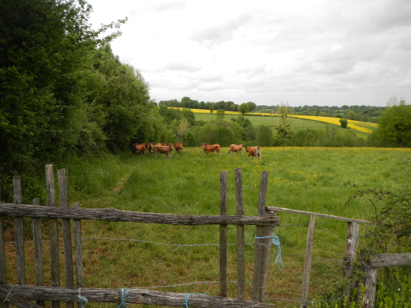 Parthenaises interloquées par les vélos