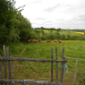09-05-2013 (Parthenay), 2ème jour