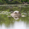 09-05-2013 (Parthenay), 2ème jour