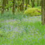 DSCN0877