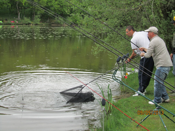 Pêche à la carpe sur l'étang de Bois Pouvreau