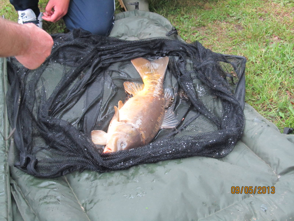 Pêche à la carpe sur l'étang de Bois Pouvreau