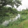 Bords de l'Indre
