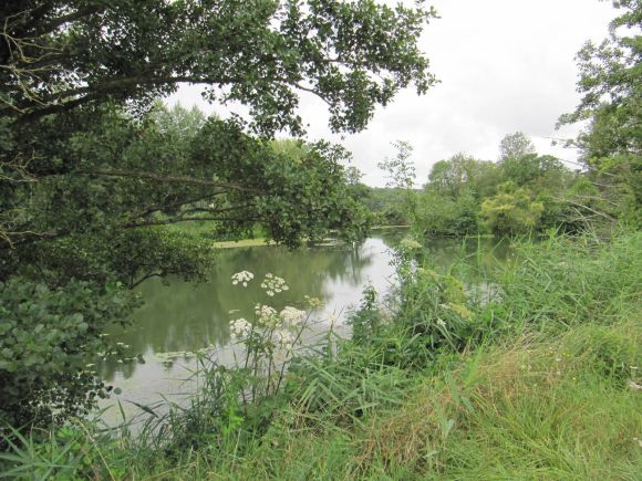Bords de l'Indre