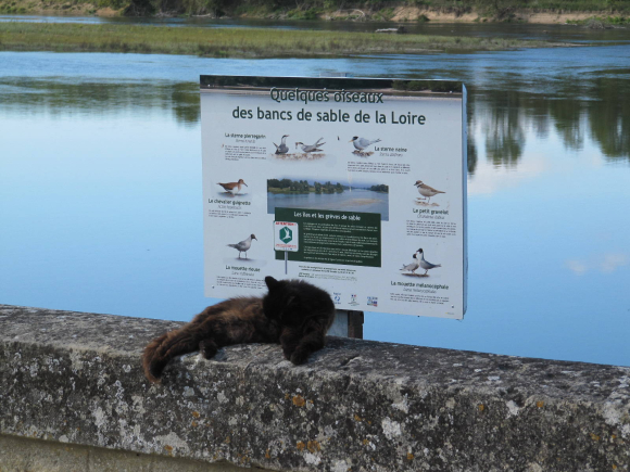 Pause à Bréhémont