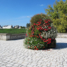 Tours - Saumur
