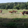 IMG_20180624_093314
